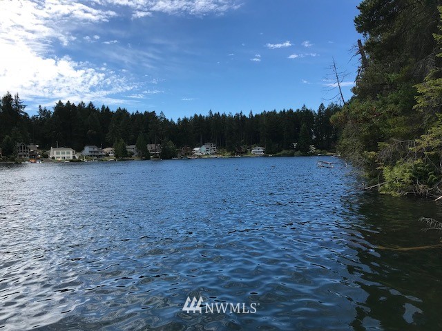11700 Guthrie Road Anderson Island, WA 98303 - Photo 2 of 13
