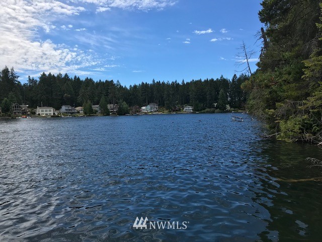 11700 Guthrie Road Anderson Island, WA 98303 - Photo 3 of 13
