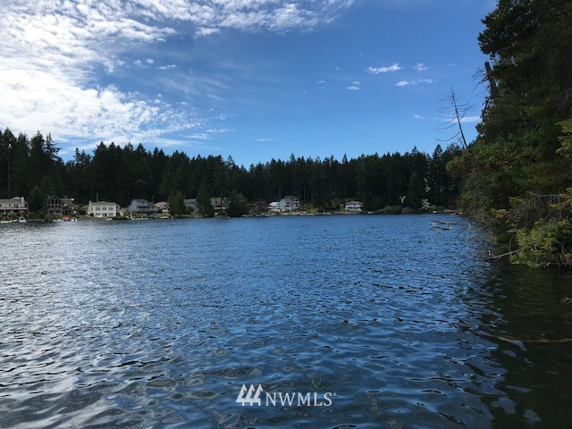 11700 Guthrie Road Anderson Island, WA 98303 - Photo 4 of 13