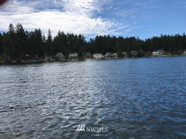 11700 Guthrie Road Anderson Island, WA 98303 - Photo 5 of 13