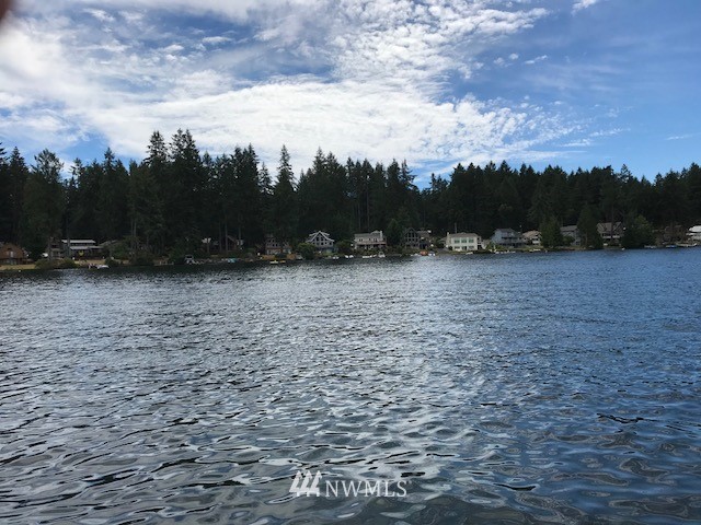 11700 Guthrie Road Anderson Island, WA 98303 - Photo 6 of 13