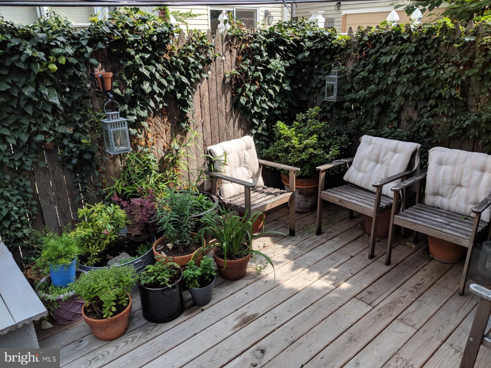 431 Tasker Street Philadelphia, PA 19148 - Photo 33 of 37 garden of last tenant