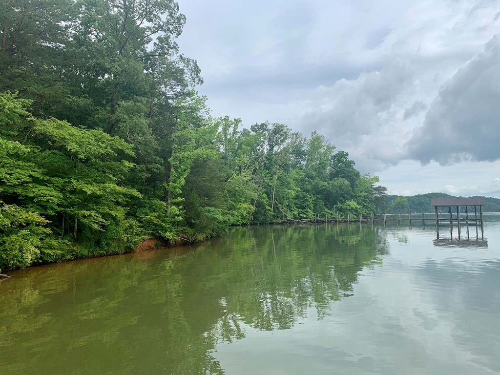 0 Red Cloud Trail Spring City, TN 37381 - Photo 28 of 49