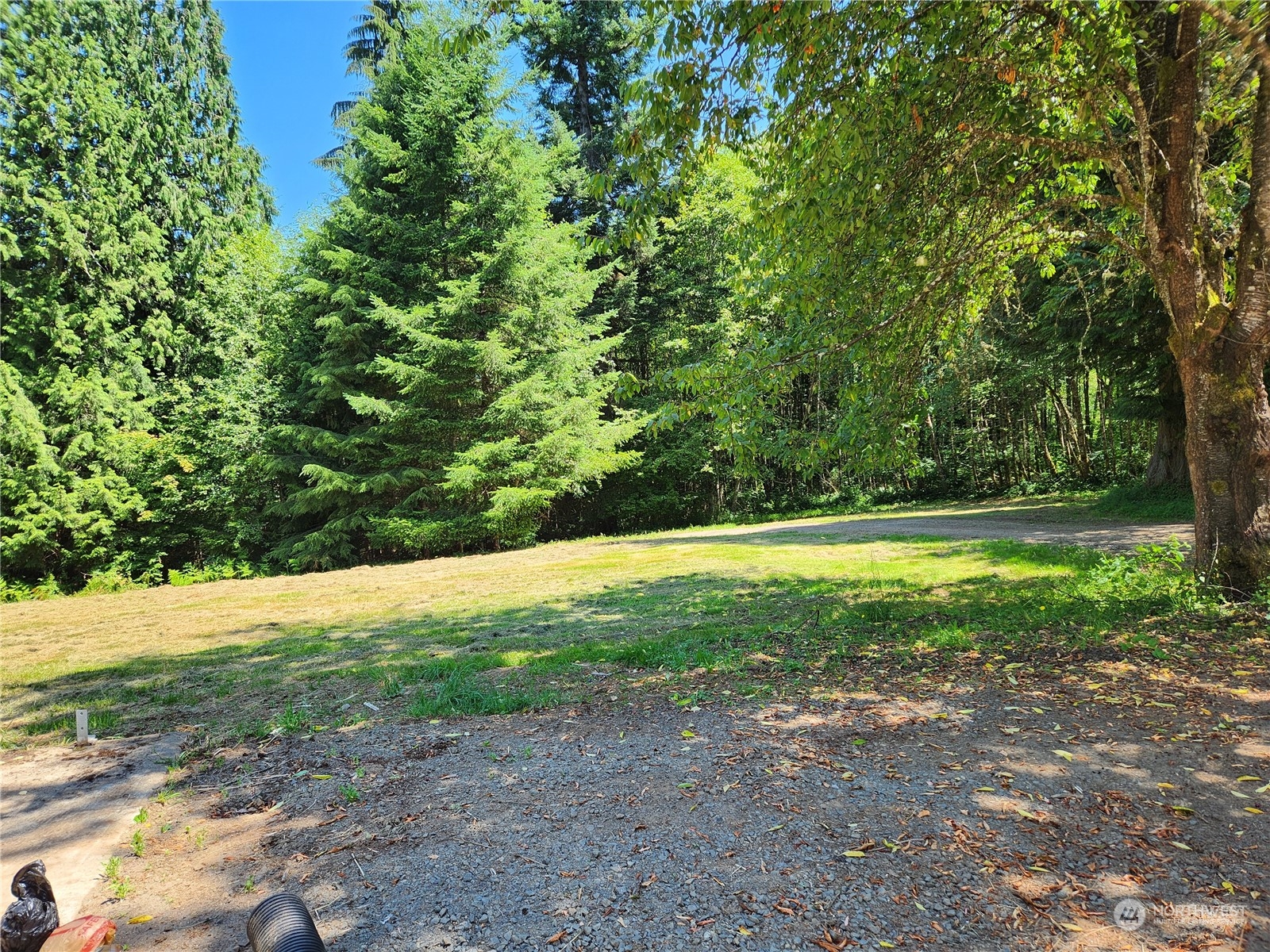 705 Eufaula Heights Road Longview, WA 98632 - Photo 17 of 17 a view of a yard with large trees