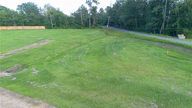 1207 Hwy Deville La Deville, LA 71328 - Photo 3 of 17