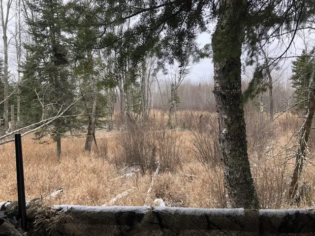 $249,900 | Xxx Benson Road, Alborn, MN 55702