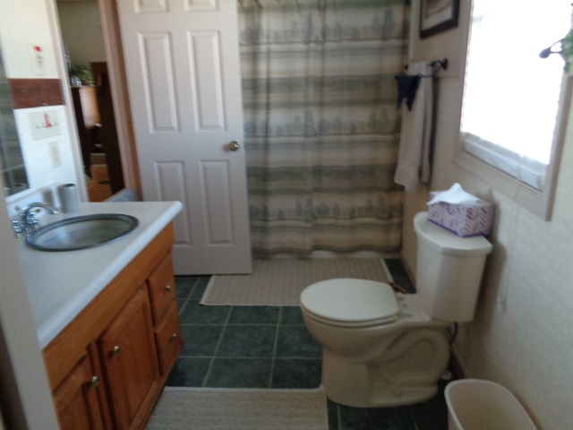 324 Craig Shop Road Mount Sidney, VA 24467 - Photo 13 of 28 a bathroom with a sink toilet and shower