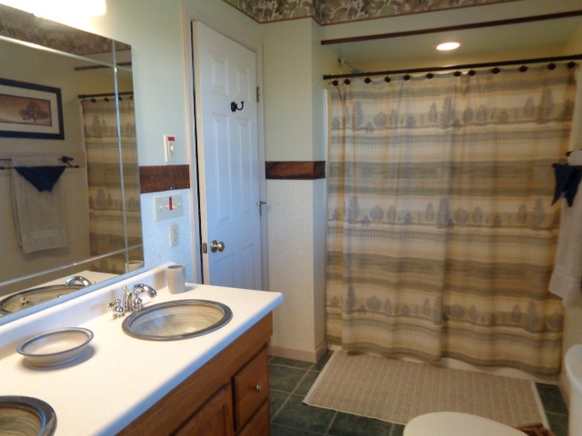 324 Craig Shop Road Mount Sidney, VA 24467 - Photo 15 of 28 a bathroom with a sink toilet and shower