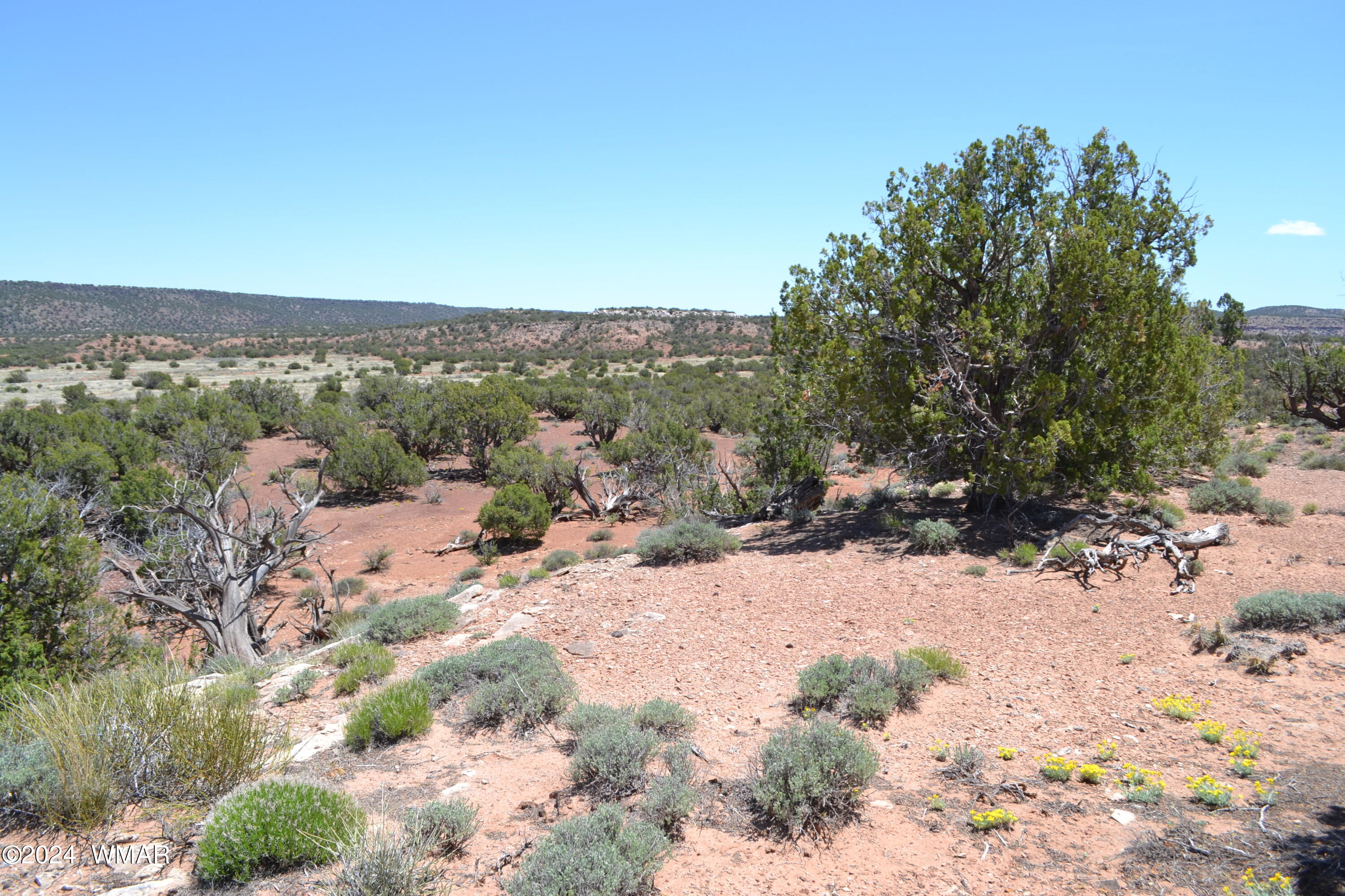 3733 Del Contento Snowflake, AZ 85937 - Photo 46 of 72 DSC_0163