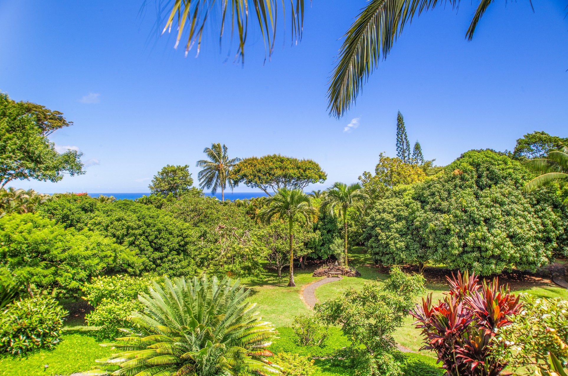 2874 A Kauapea Road Kilauea, HI 96754 - Photo 25 of 30