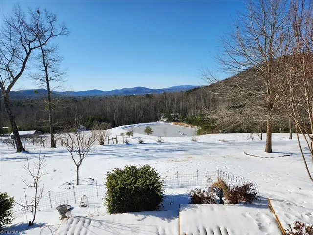 $1,895,000 | 246 Bear Trail, Lowgap, NC 27024