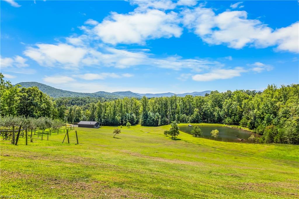 246 Bear Trail Lowgap, NC 27024 - Photo 24 of 50 View from the front yard of 252 Bear Trail. Barn, pond and fruit trees in the distance.