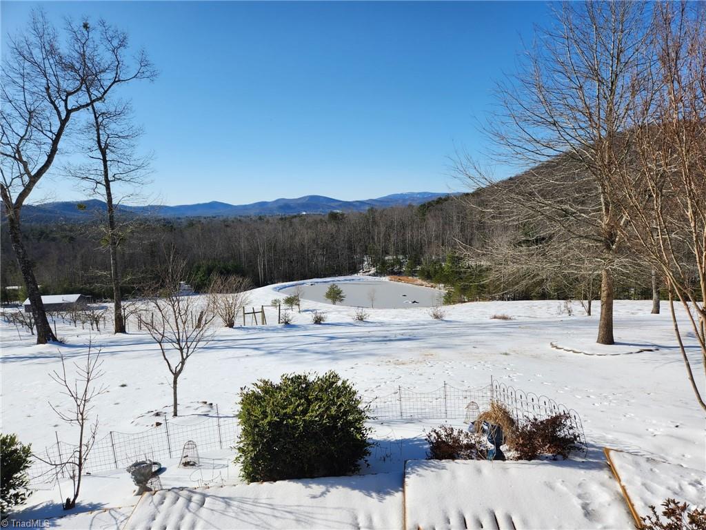 246 Bear Trail Lowgap, NC 27024 - Photo 3 of 50