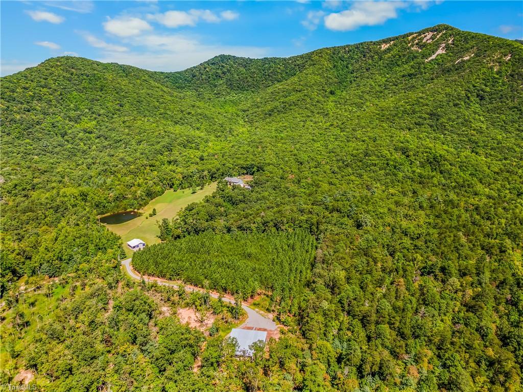 246 Bear Trail Lowgap, NC 27024 - Photo 49 of 50 Aerial View of entire 56 acre property.