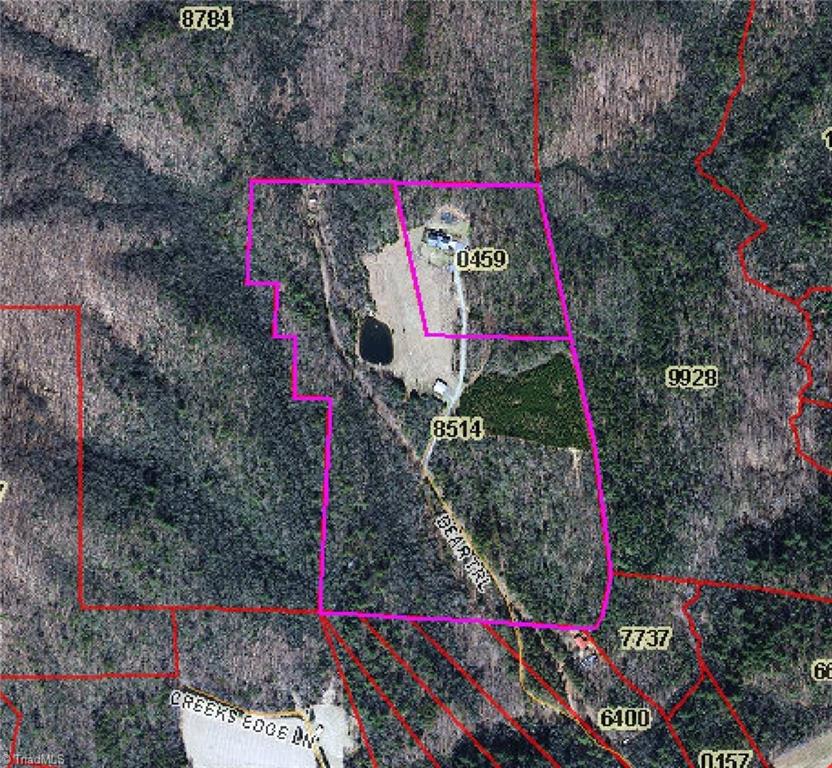 246 Bear Trail Lowgap, NC 27024 - Photo 50 of 50 GIS Map