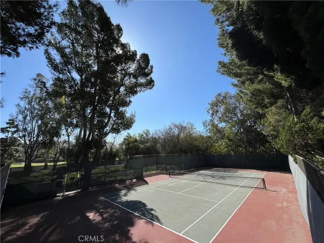 a picture of flowers