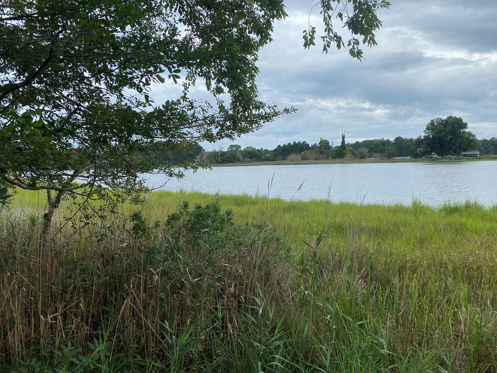 Lot 8 Mink Farm Road, Unit 8 Wachapreague, VA 23480 - Photo 4 of 5