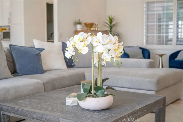 a living room with furniture flowerpot and a window