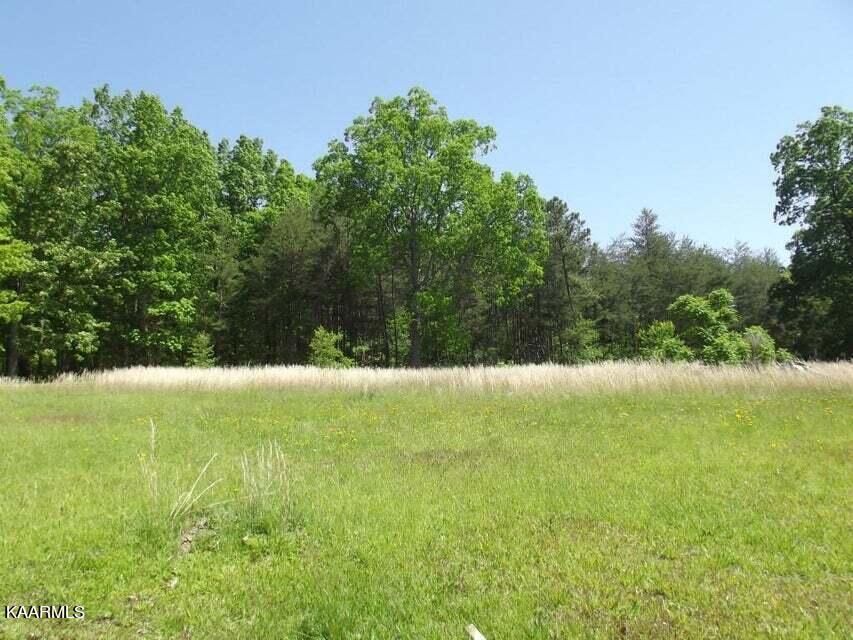 1394 Walt Reed Road Grandview, TN 37337 - Photo 48 of 57 52