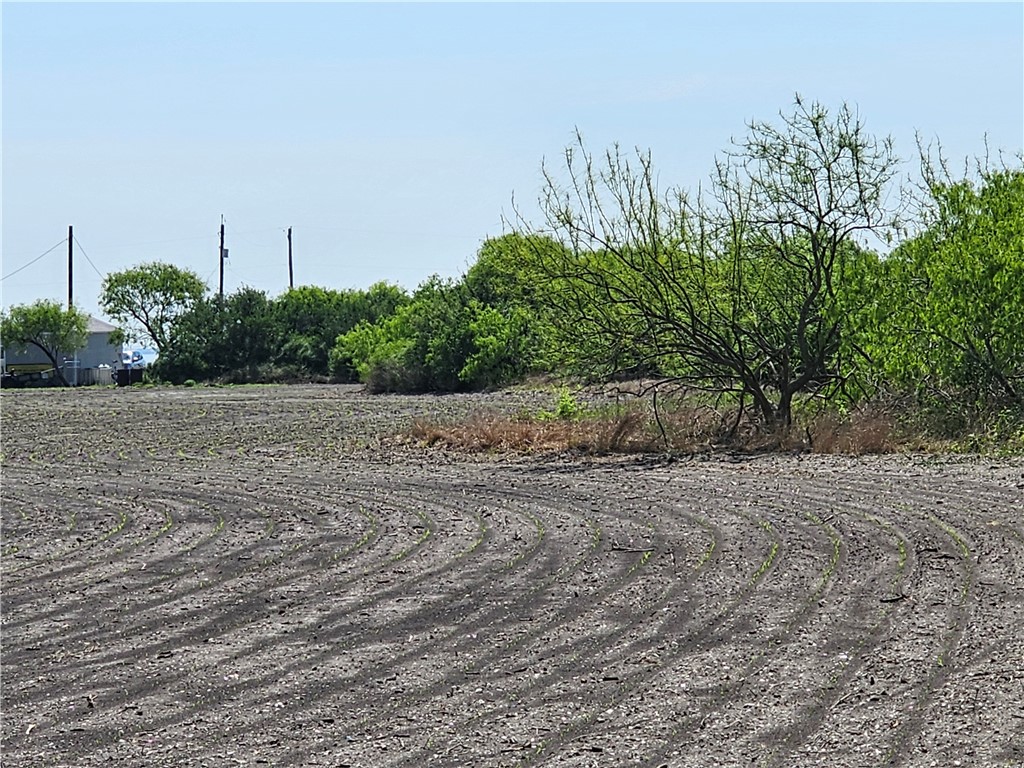2106 3rd Street Bayside, TX 78340 - Photo 2 of 6 partially cleared