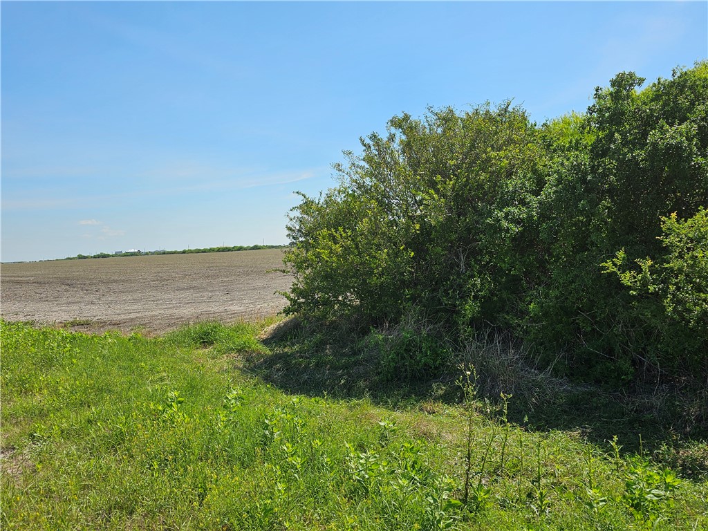 2106 3rd Street Bayside, TX 78340 - Photo 3 of 6 Lots of trees