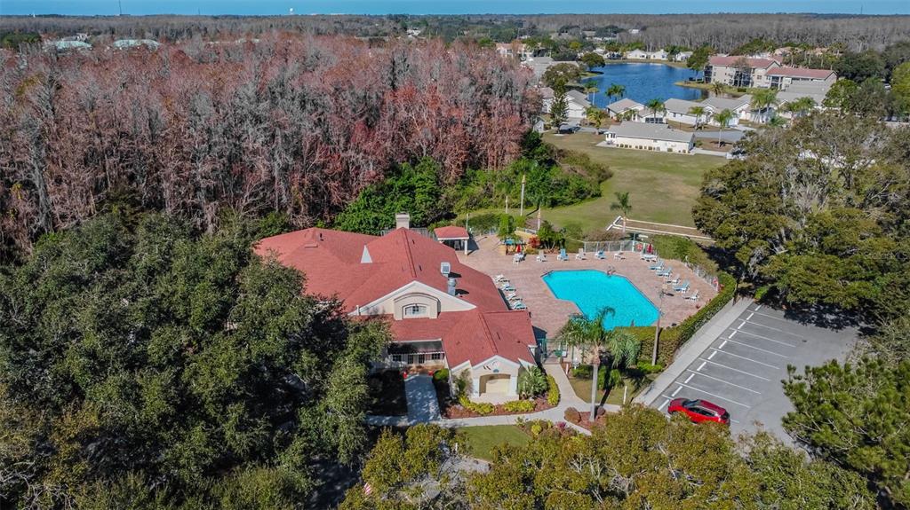 4124 Randolph Street New Port Richey, FL 34653 - Photo 70 of 84 Gallery Image 70