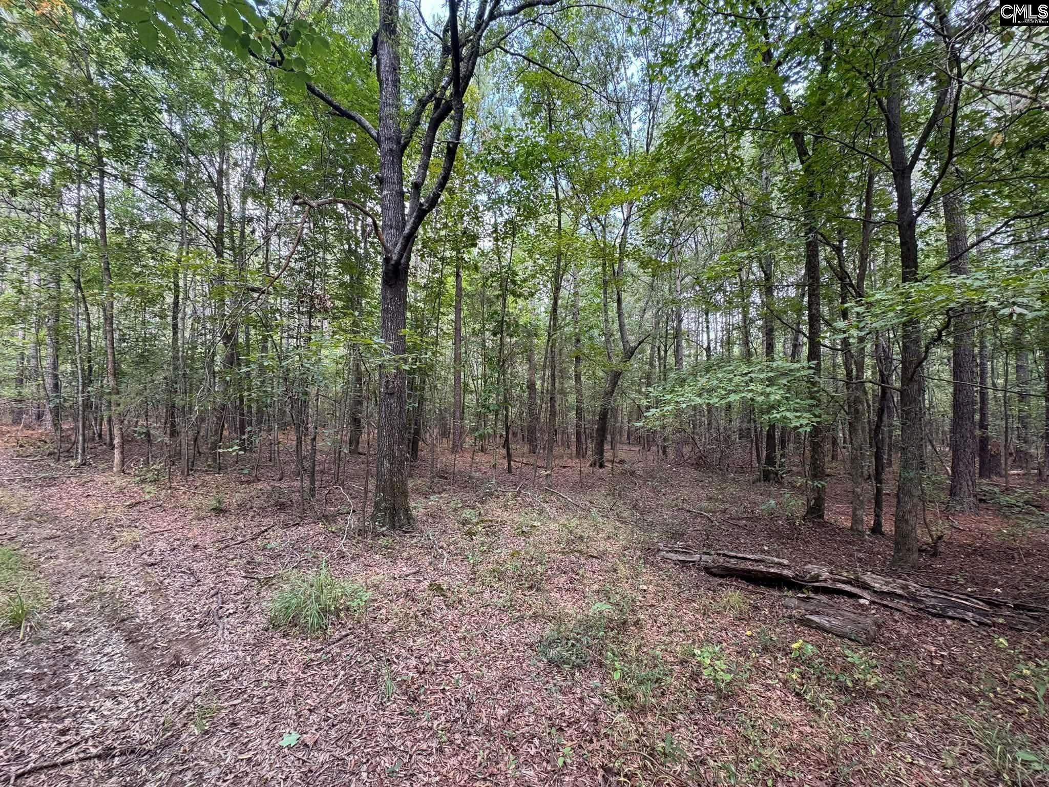 Pencreek Road Johnston, SC 29832 - Photo 9 of 59 Gallery Image 9