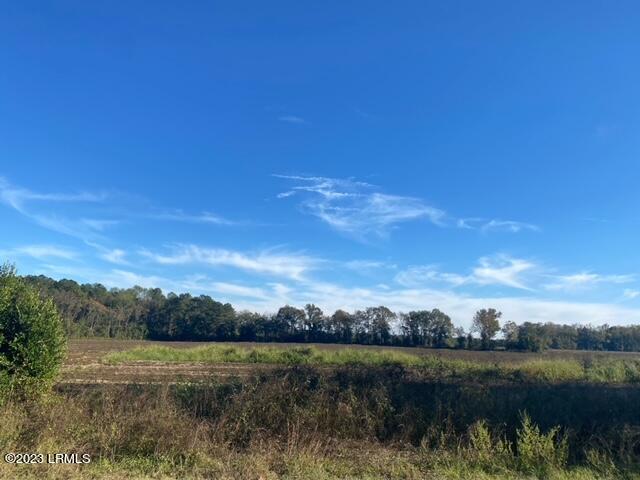 Two 2 Sisters Ferry Road Pineland, SC 29934 - Photo 1 of 4 image1