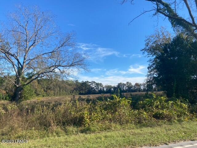 Two 2 Sisters Ferry Road Pineland, SC 29934 - Photo 2 of 4 image2