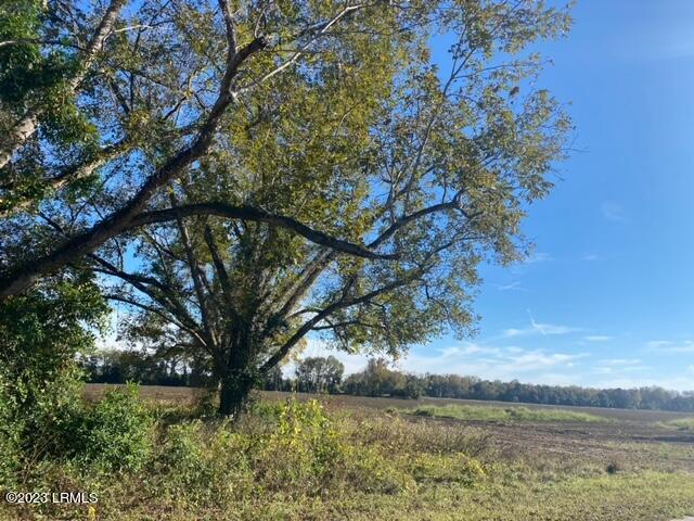 Two 2 Sisters Ferry Road Pineland, SC 29934 - Photo 3 of 4 image0