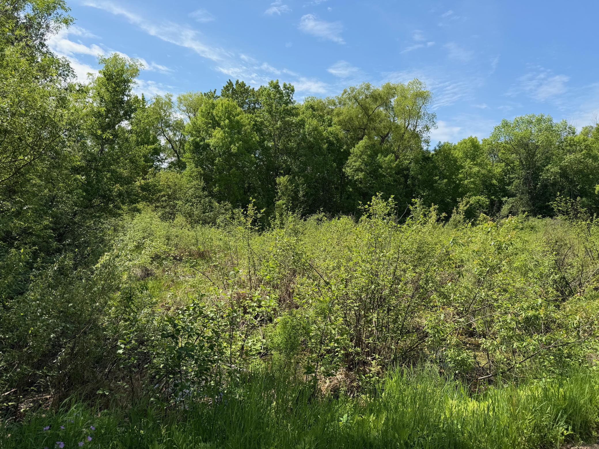 Tbd White Fish Road Garrison, MN 56450 - Photo 8 of 11