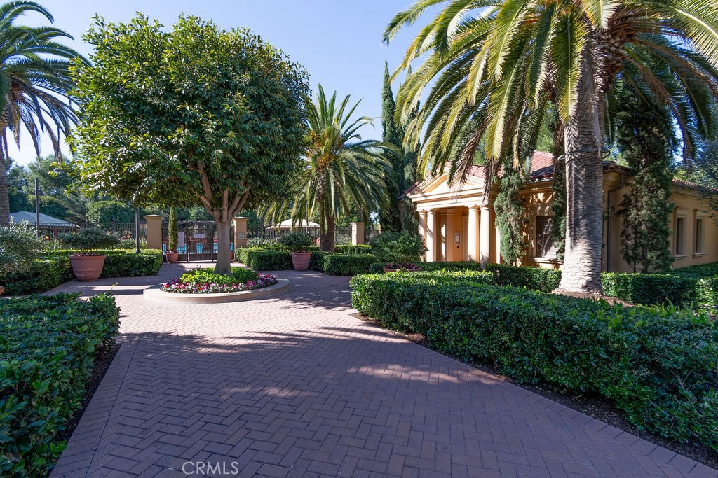 58 Cipresso Irvine, CA 92618 - Photo 32 of 34 a view of a garden with palm trees