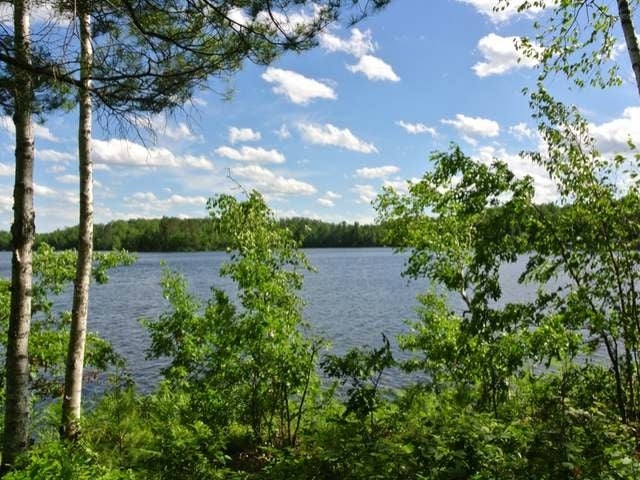 Lot 4 Little Bearskin Road Harshaw, WI 54529 - Photo 11 of 19 Gallery Image 11
