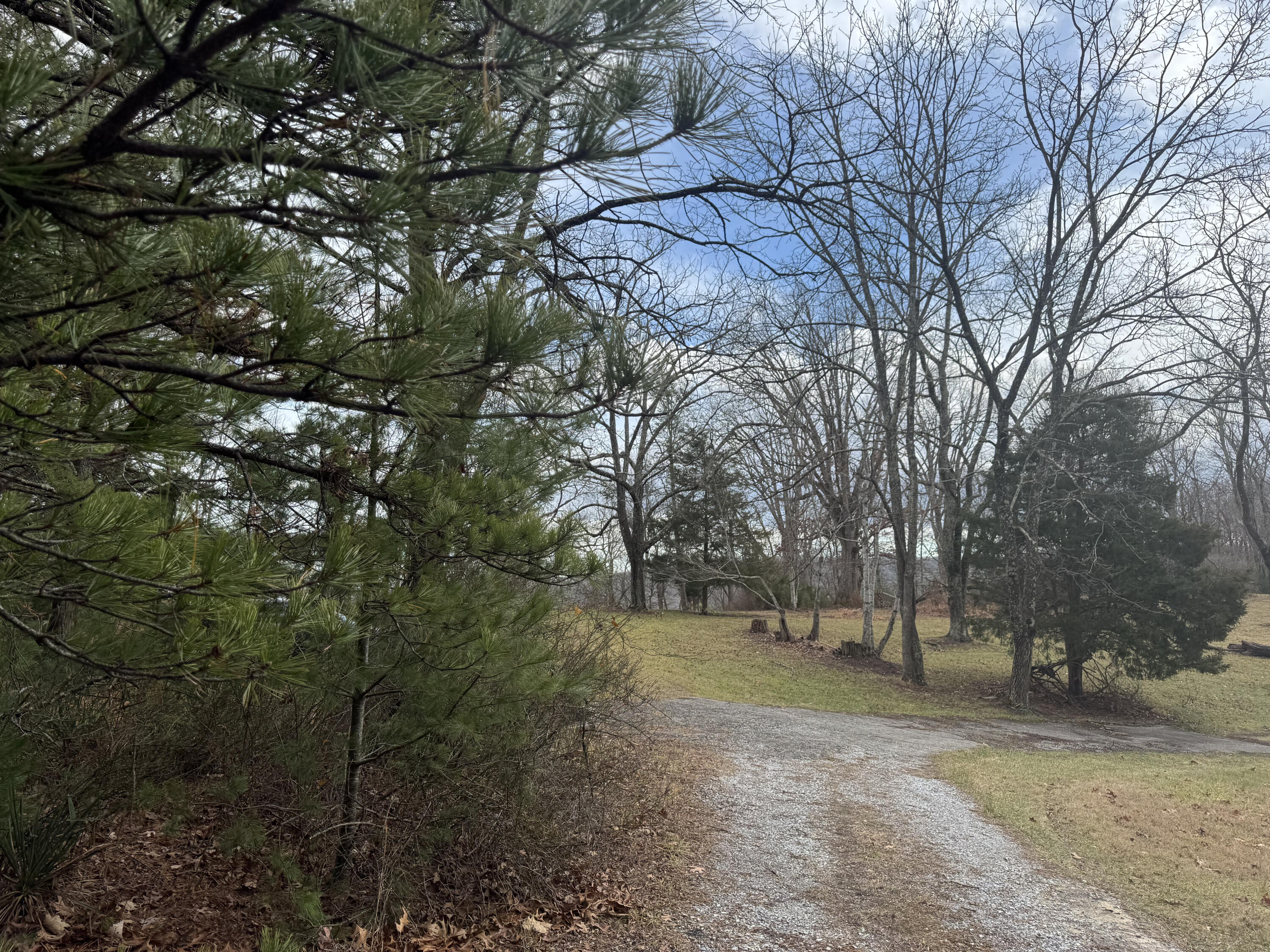 5341 Robinson Tract Road Pulaski, VA 24301 - Photo 24 of 32 a view of a tree in the middle of a yard