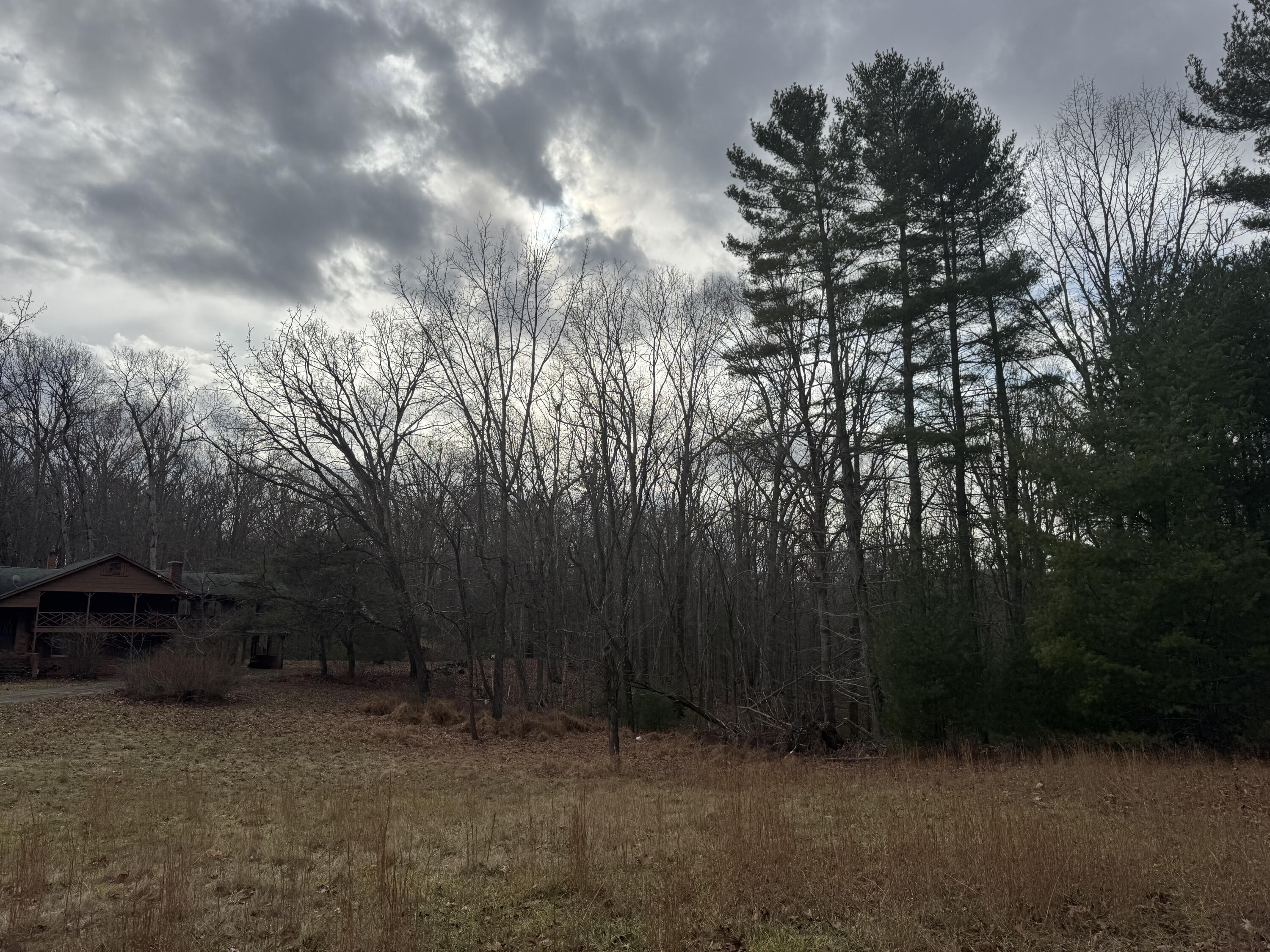 5341 Robinson Tract Road Pulaski, VA 24301 - Photo 25 of 32 a view of outdoor space and yard