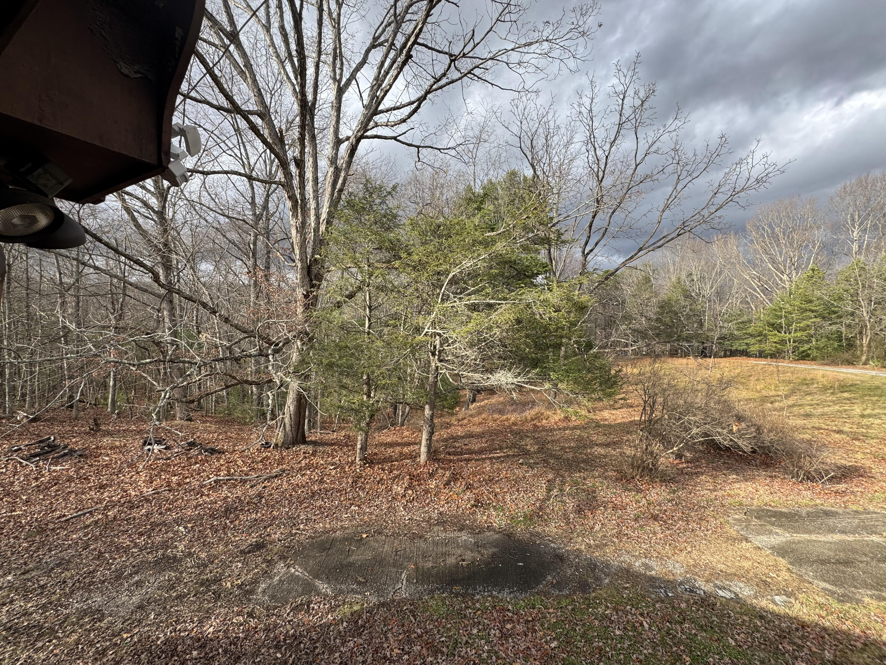 5341 Robinson Tract Road Pulaski, VA 24301 - Photo 26 of 32 a view of a yard with plants and trees