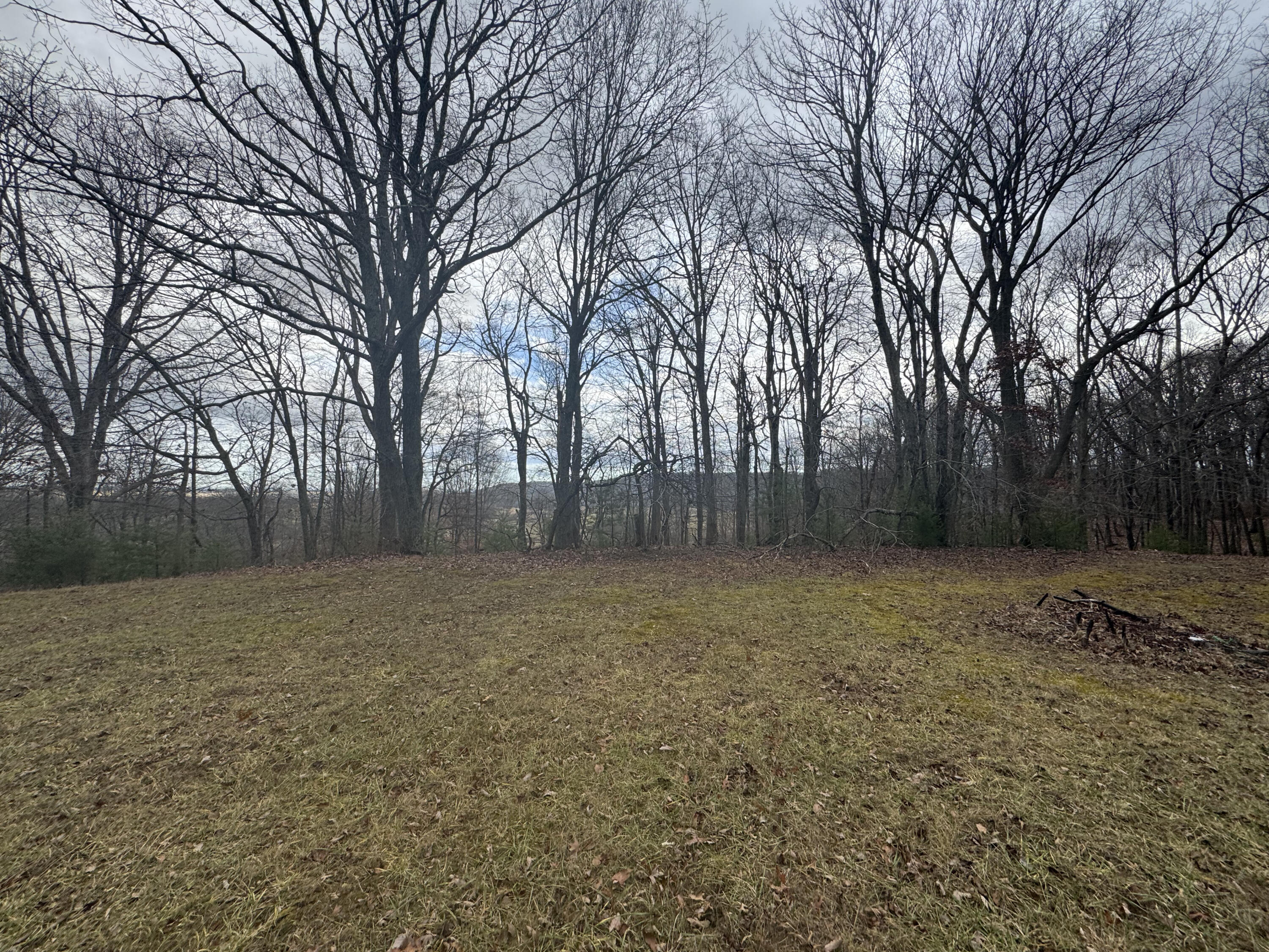 5341 Robinson Tract Road Pulaski, VA 24301 - Photo 31 of 32 a view of a yard with trees