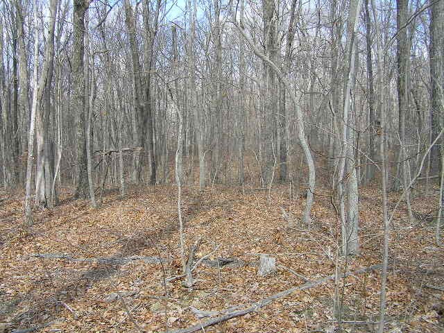 0 Wolf Pen Road Dunlap, TN 37327 - Photo 12 of 22