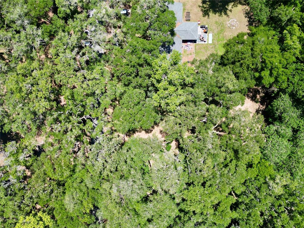 4602 Southeast 19th Avenue Ocala, FL 34480 - Photo 5 of 10
