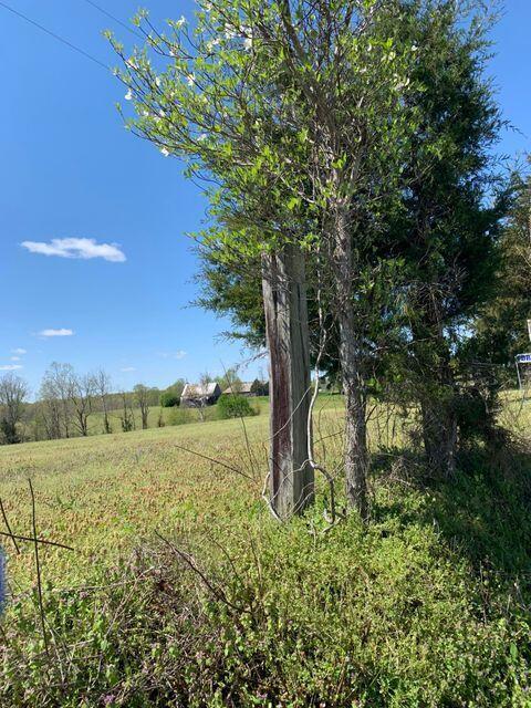 4225 Hickory Nut Road Nancy, KY 42544 - Photo 3 of 10 20200414181936513312000000-o