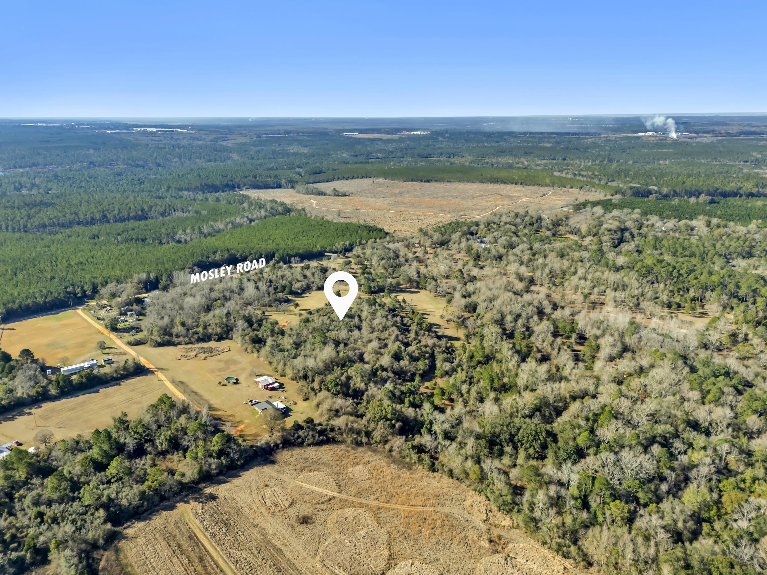 16691 Mosley Road Stapleton, AL 36578 - Photo 21 of 32 Aerial View