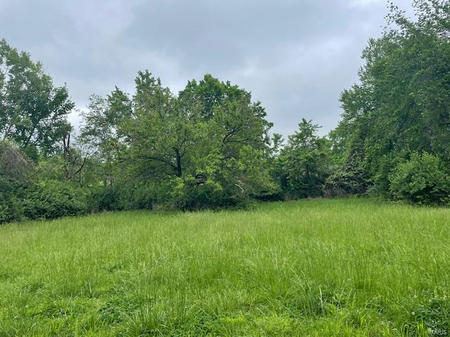 3183 Smiley Road Bridgeton, MO 63044 - Photo 1 of 7 Gallery Image 1