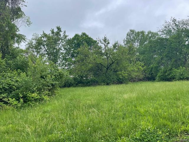3183 Smiley Road Bridgeton, MO 63044 - Photo 2 of 7 Gallery Image 2