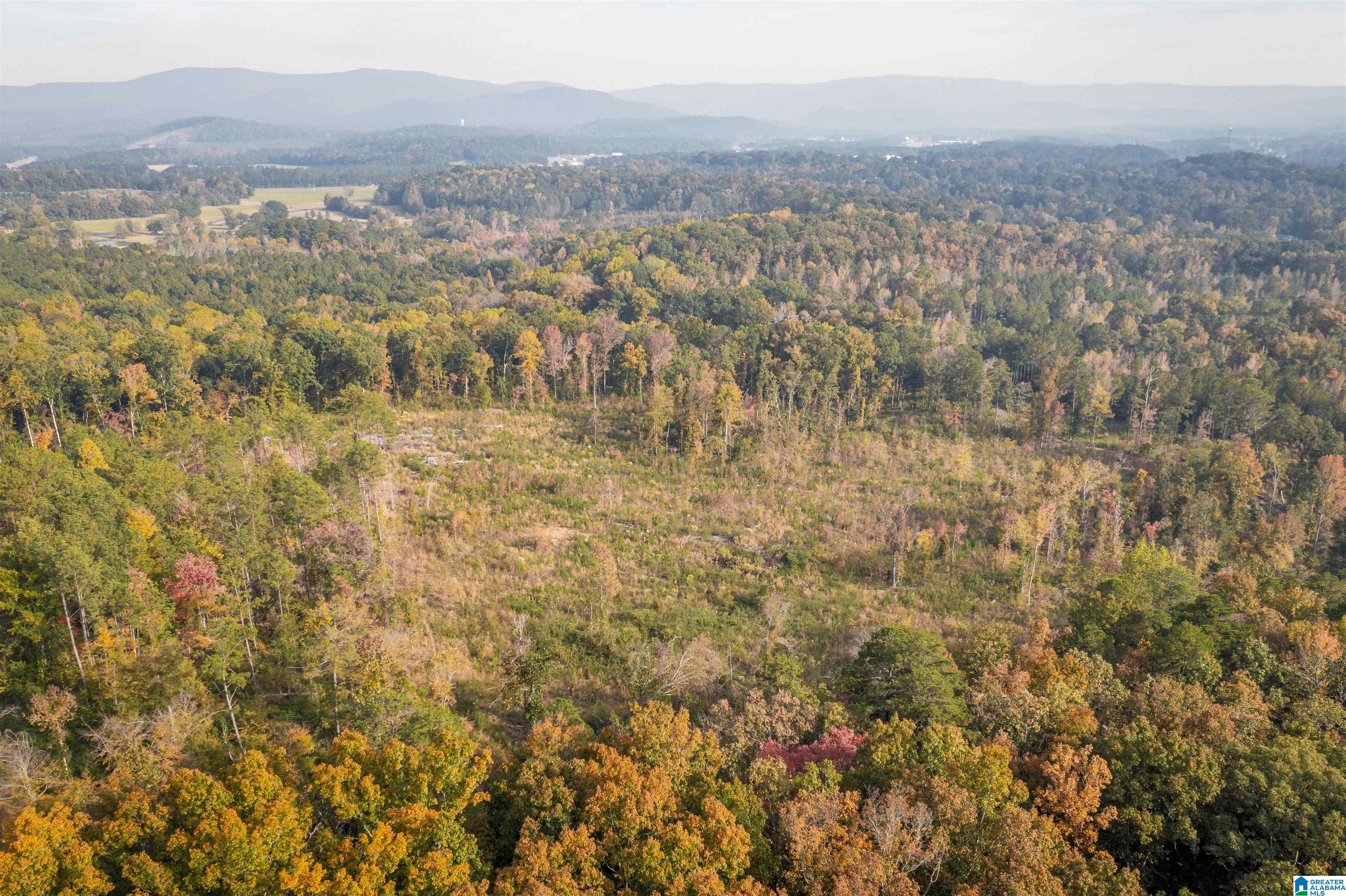 201 Cave Hill Road Weaver, AL 36277 - Photo 68 of 78