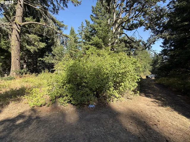 $249,900 | 121 Cooke Road, White Salmon, WA 98672