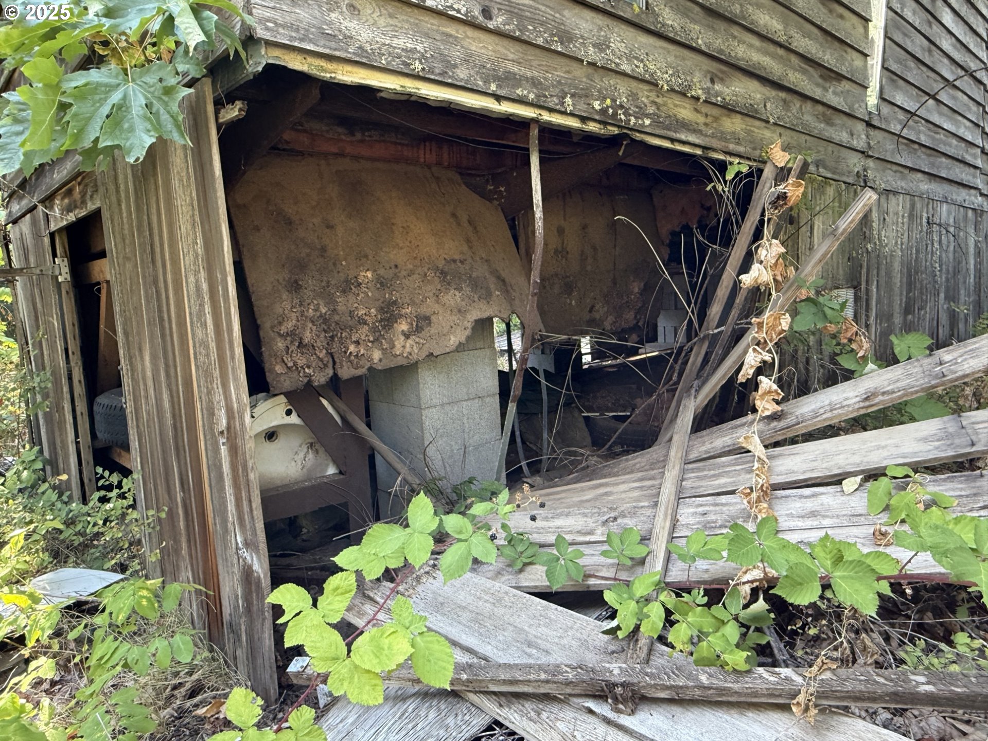 121 Cooke Road White Salmon, WA 98672 - Photo 14 of 48