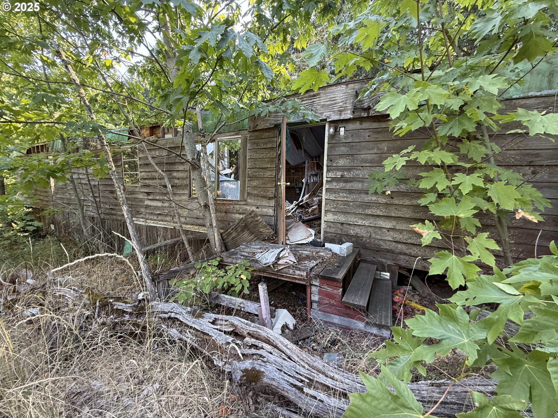 121 Cooke Road White Salmon, WA 98672 - Photo 16 of 48 a view of yard with green space