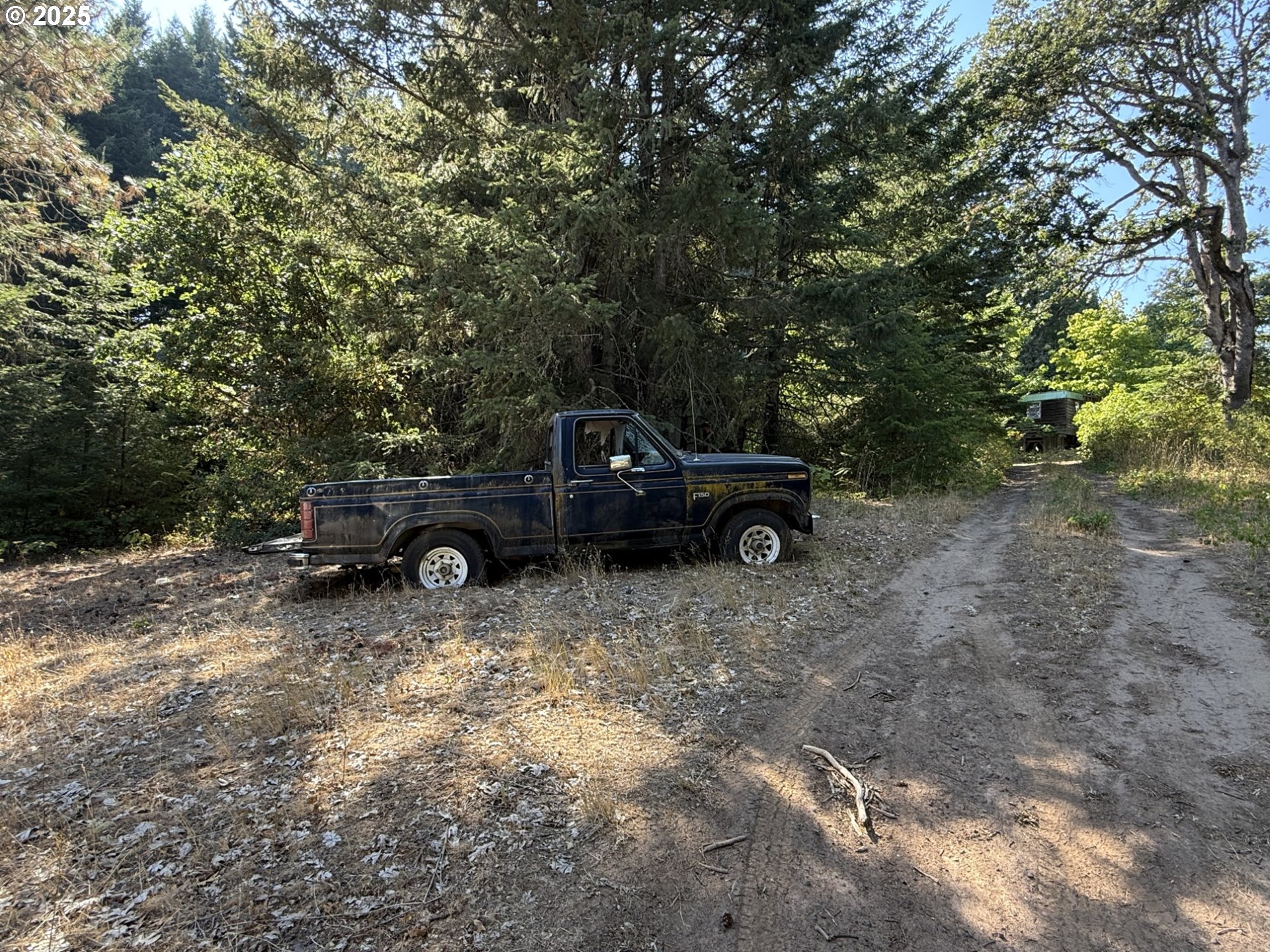 121 Cooke Road White Salmon, WA 98672 - Photo 2 of 48 a view of yard with car parked