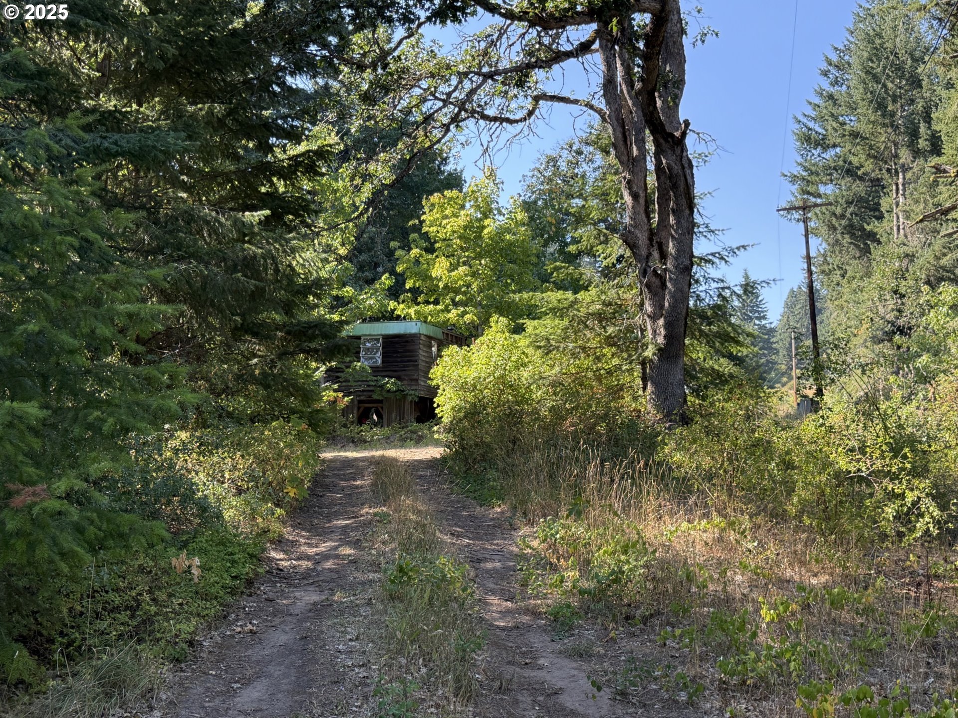 121 Cooke Road White Salmon, WA 98672 - Photo 3 of 48 a pathway of a yard