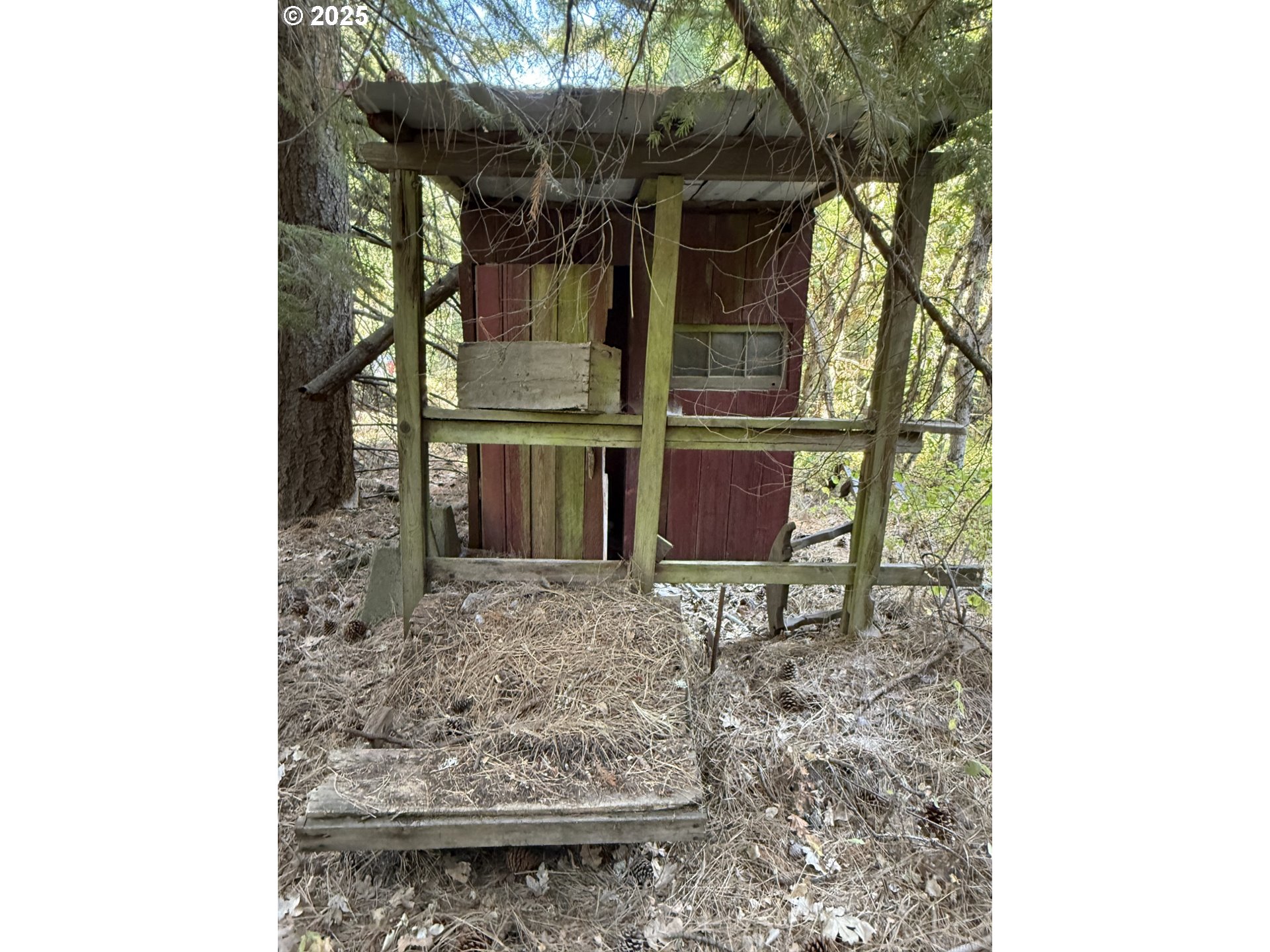 121 Cooke Road White Salmon, WA 98672 - Photo 4 of 48 a view of a back yard of the house